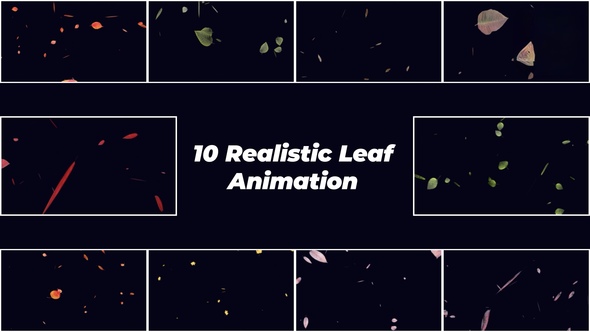 Photo of Realistic Falling Leaves | MOGRT – Videohive 58221410