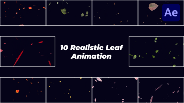 Photo of Realistic Falling Leaves – Videohive 58070175
