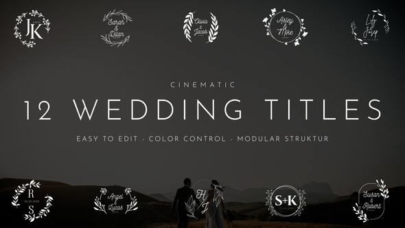 Photo of Wedding Titles – Videohive 57929411