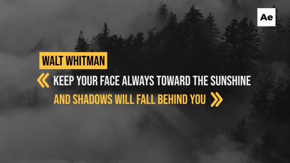 Photo of 16 Corporate Quotes Titles /Ae – Videohive 58311669