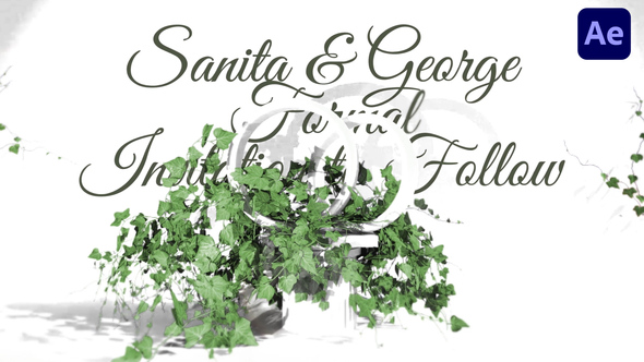Photo of Botanical Leaves Wedding Invitation – Videohive 58560906