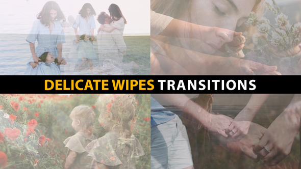 Photo of Delicate Wipes Transitions | After Effects – Videohive 58562167
