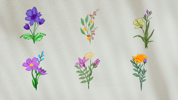Photo of Flower Animation Elements – Videohive 58469581