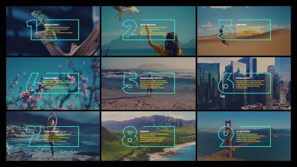 Photo of Infographics Boxes – Videohive 58371349