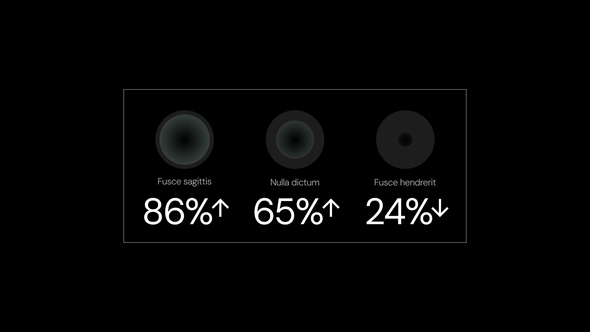Photo of Infographics – Videohive 58393336