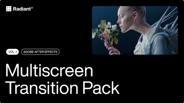 Photo of Split Screen – Videohive 51366232