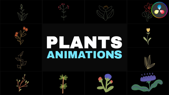 Photo of Nature Plants Kids Drawings Animation for DaVinci Resolve – Videohive 58526380