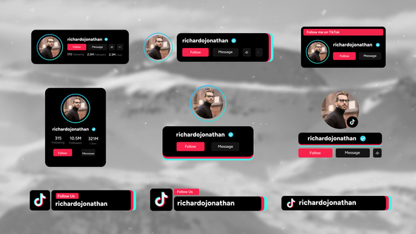 Photo of TikTok Follow Element – Videohive 58325471