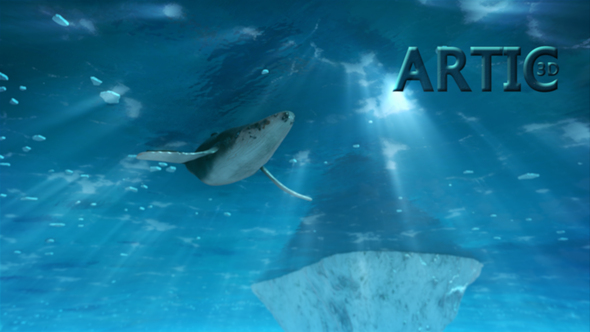 Photo of Arctic 3D Assets – Videohive 56352780