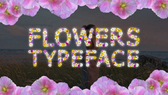 Photo of Field Flowers Typeface and Transition – Videohive 58772185