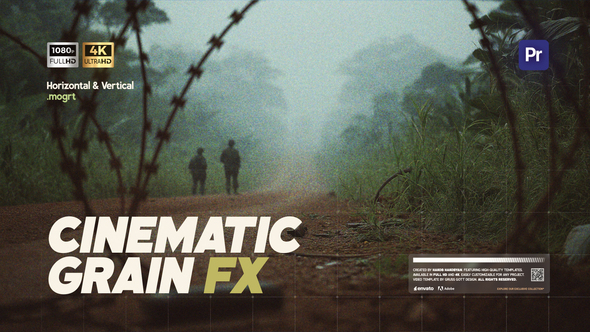 Photo of Grain Effect – Videohive 58952045