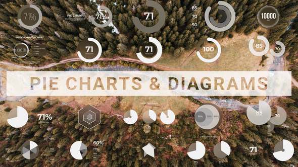 Photo of Pie Charts & Diagrams – Videohive 54058628