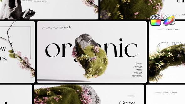 Photo of Organic Growth Posters – Videohive 59081109