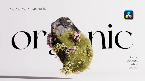 Photo of Organic Growth Posters – Videohive 59081144