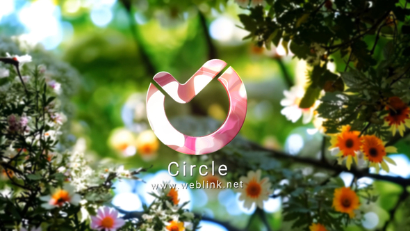 Photo of Summer Tries Logo 3 – Videohive 59053069