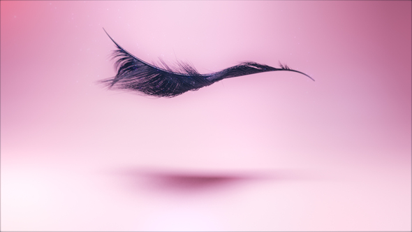 Photo of Eyelash Logo Ident – Videohive 42721287