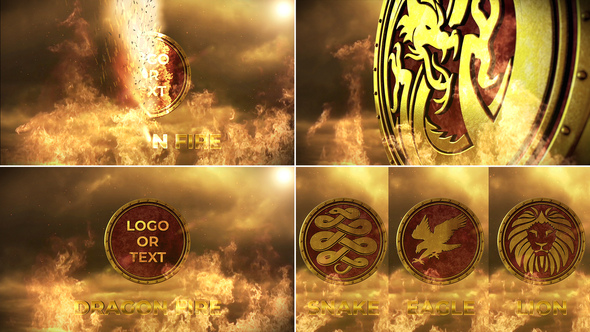 Photo of Dragon Fire Logo – Videohive 4341671