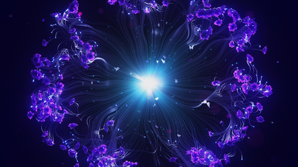 Photo of Floral Ident – Videohive 49402973