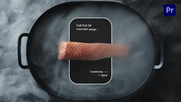 Photo of Modern Call Outs – Videohive 59289744