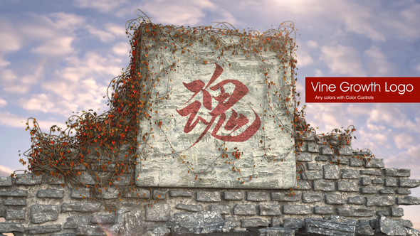 Photo of Vine Growth Logo – Videohive 33613198