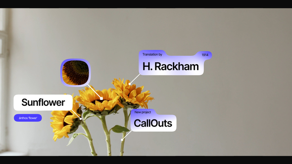 Photo of CallOuts – Videohive 59651754