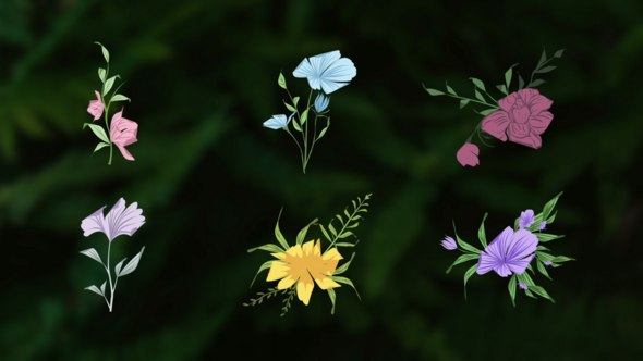 Photo of Flower Romantic Animation Elements – Videohive 59864257