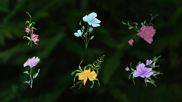 Photo of Flower Romantic Animation Elements – Videohive 59980193