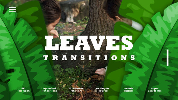 Photo of Leaves Transitions – Videohive 59684827