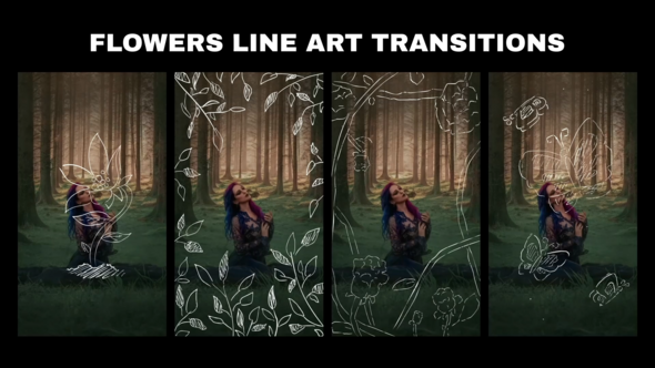 Photo of Flowers Line Art Transition for Premiere Pro – Videohive 60319553