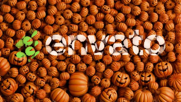 Photo of Halloween Pumpkins Logo Reveal – Videohive 60254284