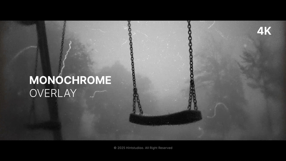 Photo of Monochrome Overlay – Videohive 60362742