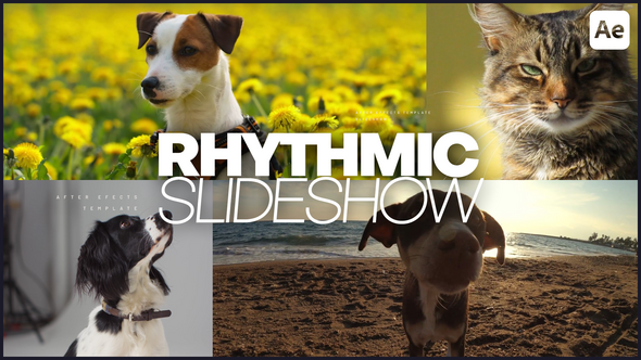 Photo of Rhythmic Slideshow – Videohive 60071119