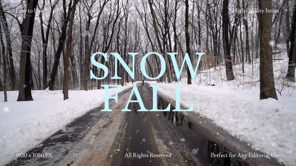 Photo of Snow Fall – Videohive 60225070