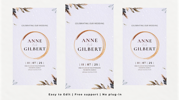 Photo of Vertical Wedding Intro – Videohive 60856754