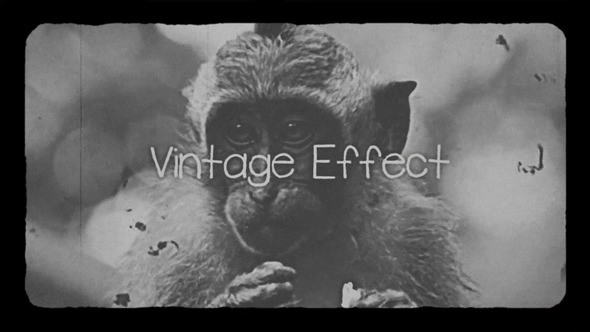 Photo of Vintage Effect – Videohive 61046501