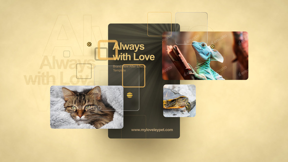 Photo of Beloved Pets – Videohive 60283444