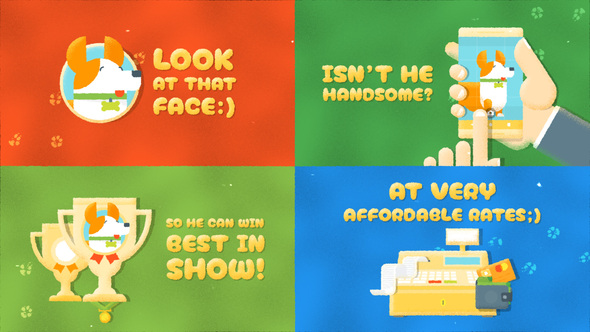 Photo of Dog Grooming Salon Promo – Videohive 61539273