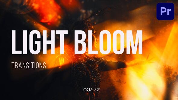Photo of Light Bloom Transitions – Videohive 61327002