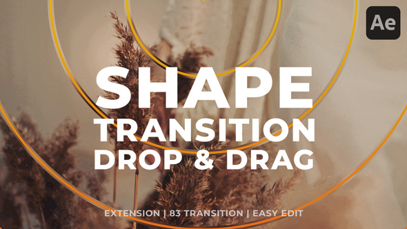 Photo of Shape Circle Transition – Videohive 61387965