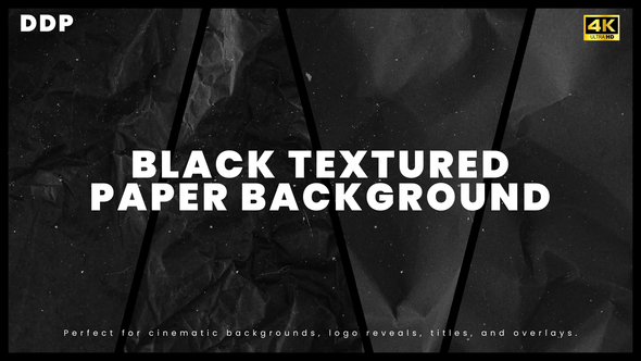 Photo of Black Textured Paper Background with Dust Particles Apple Motion – Videohive 61941187
