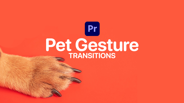 Photo of Pet Gesture Transitions for Premiere Pro – 12 Animated Cat & Dog Gestures – Videohive 47367384