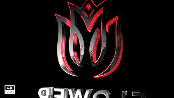 Photo of Logo Animated – Videohive 50507195