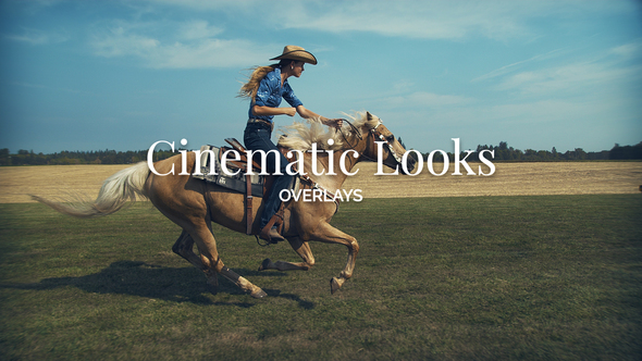 Photo of Cinematic Looks Overlay Toolkit for Premiere Pro | Film Look Overlays in 4K & HD – Videohive 52898960