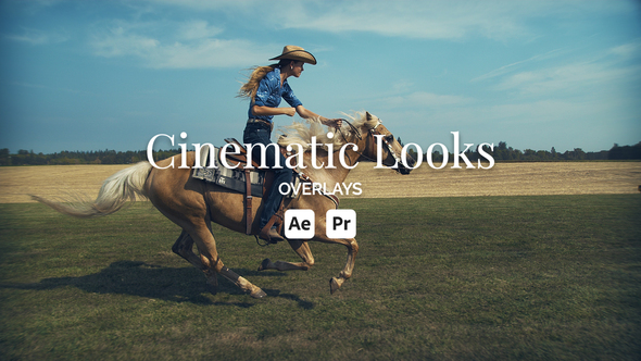 Photo of Cinematic Looks Overlay Toolkit for Premiere Pro & After Effects | Film Look Overlays – Videohive 52879195