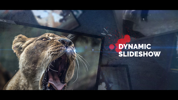 Photo of IT Slideshow – Videohive 21895149