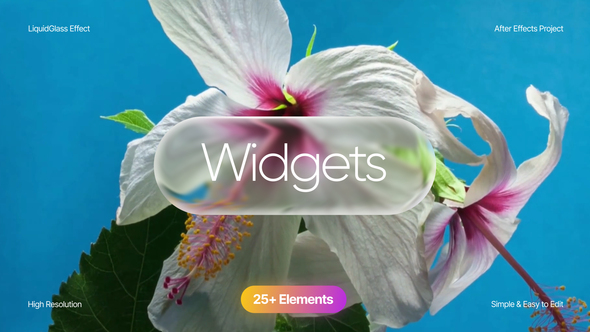Photo of Widgets – Videohive 61677873