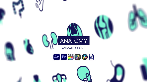 Photo of Anatomy Animated Icons – Human Body Medical Motion Icons Animation Pack – Videohive 44950428