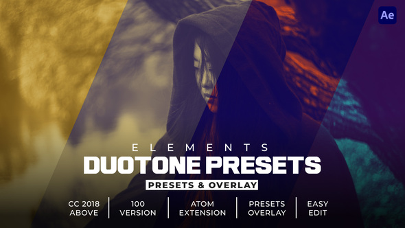 Photo of Duotone Effects – Videohive 62494657