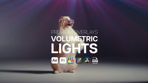Photo of Premium Overlays Volumetric Lights – Cinematic Light Beam Motion Effects Pack – Videohive 46460730