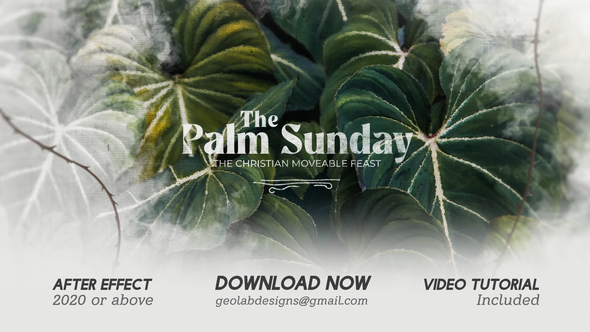 Photo of The Palm Sunday Slideshow – Videohive 62471486